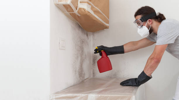 Professional Mold Remediation technician working in Cologne, NJ